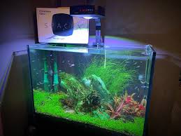 Dymax SpecEx Flora