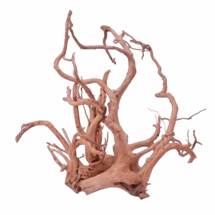 Dymax Tweety Spiderwood (15kg) Piece
