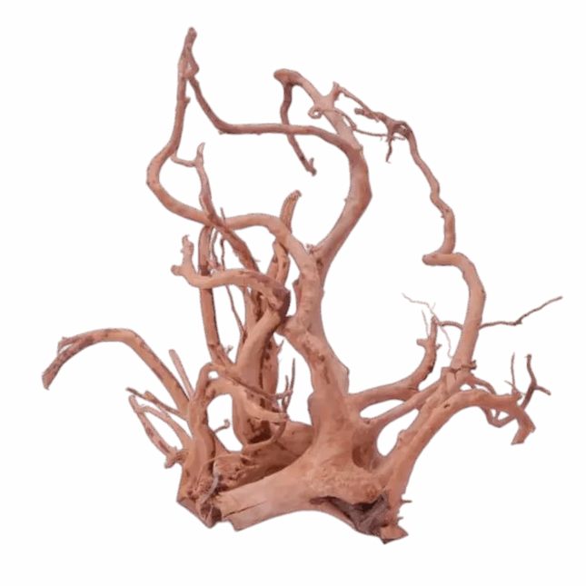 Dymax Tweety Spiderwood (15kg) Piece