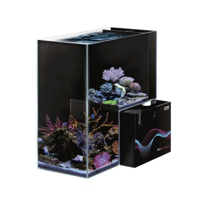 Dymax IQ9 Mini Aquarium – Marine