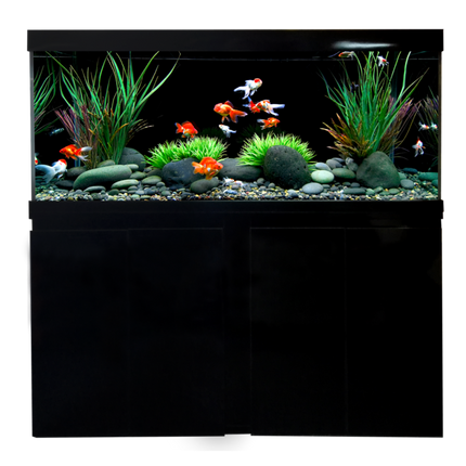 Elegance Aquarium – 480L – Premium Large Aquarium for Stunning Aquascapes & Fish Displays