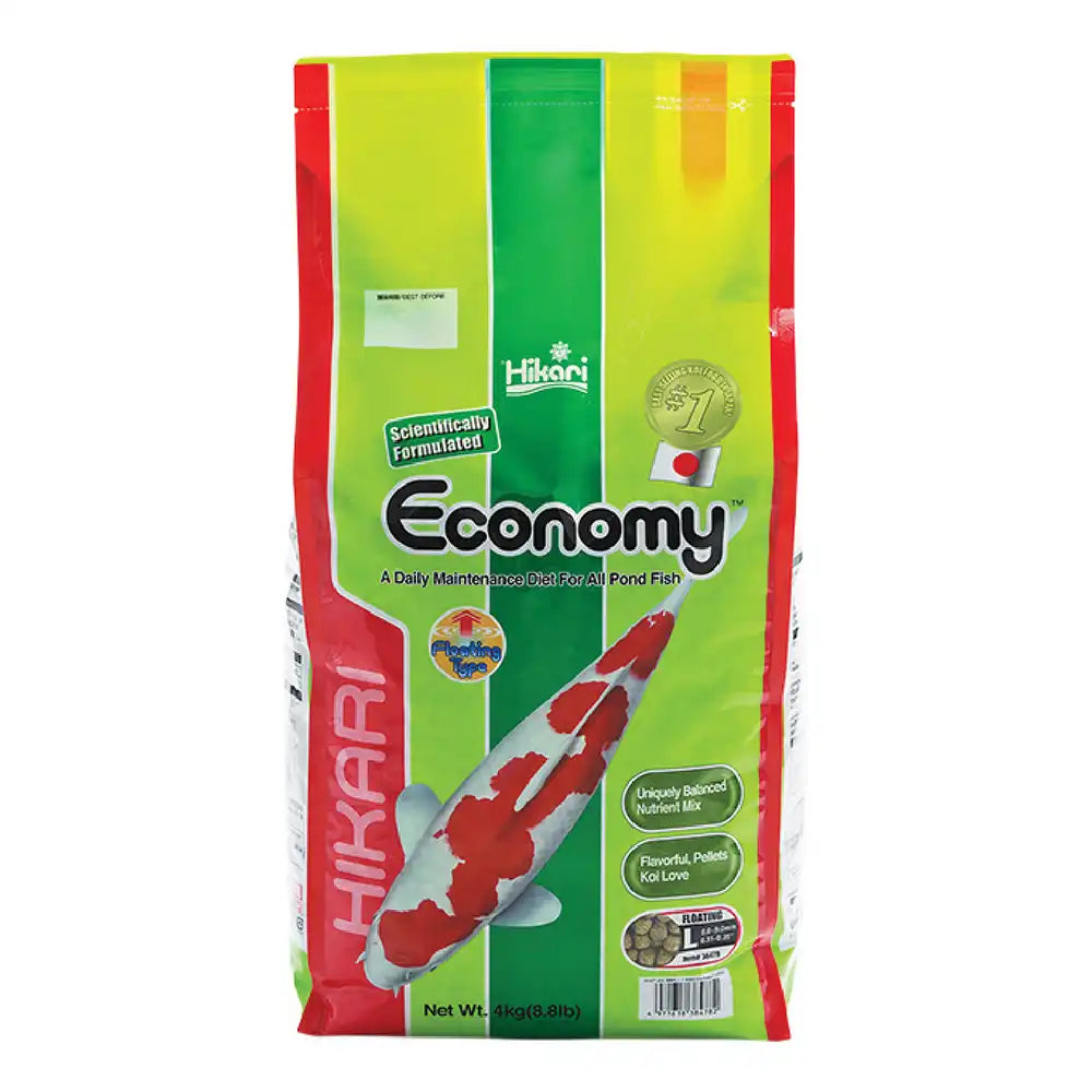 Hikari Economy large – 4kg