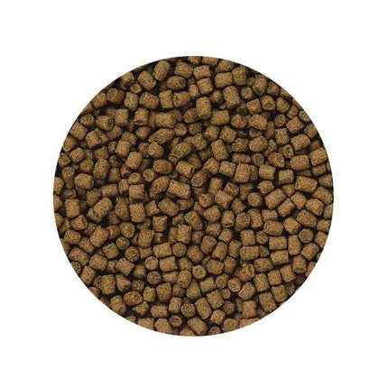Hikari® Lionhead Mini  100g - 350g