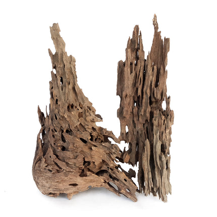 Honeycomb Wood (20–30cm) – Sold per Kg