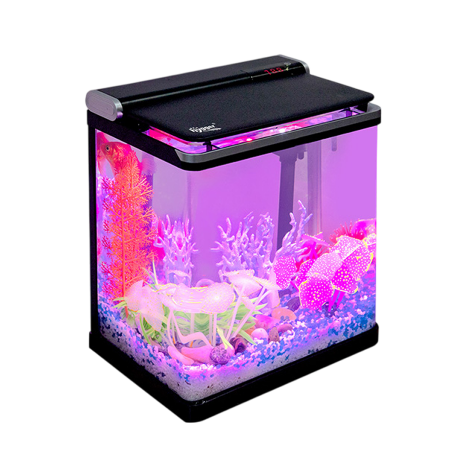 Hygger Curve Mini Aquarium 15 L