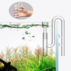 ISTA Glass Mini Skimmer