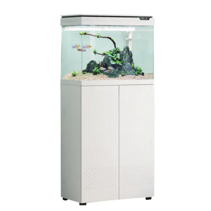 Imported Aquarium XE-600 – 70L + Cabinet
