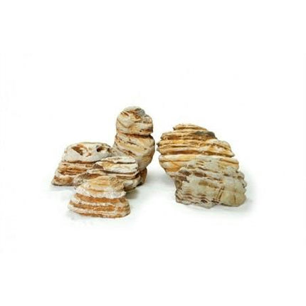Kowloon Rock – Sold per kg