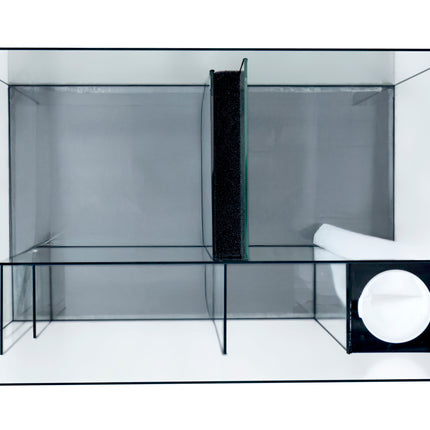Kraken Aquarium – Concrete Finish (60cm, 90cm, 120cm)