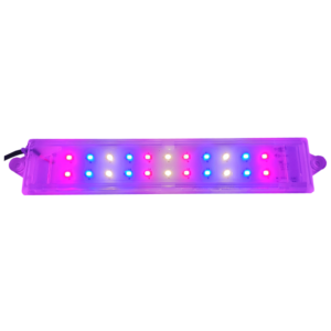 LED Light 5W (Multi Colour)