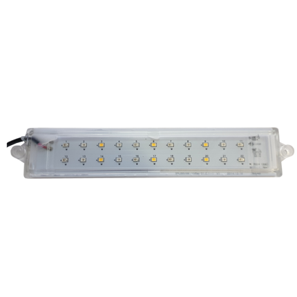 LED Light 5W (Multi Colour)
