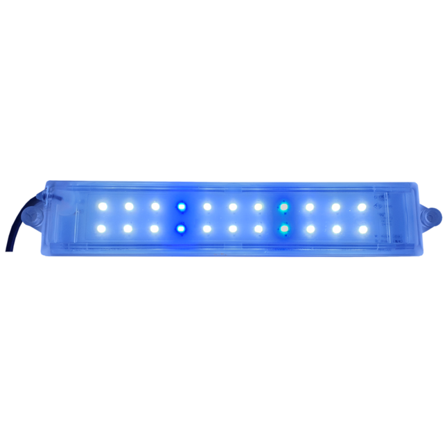 LED Light 5W (White & Blue)