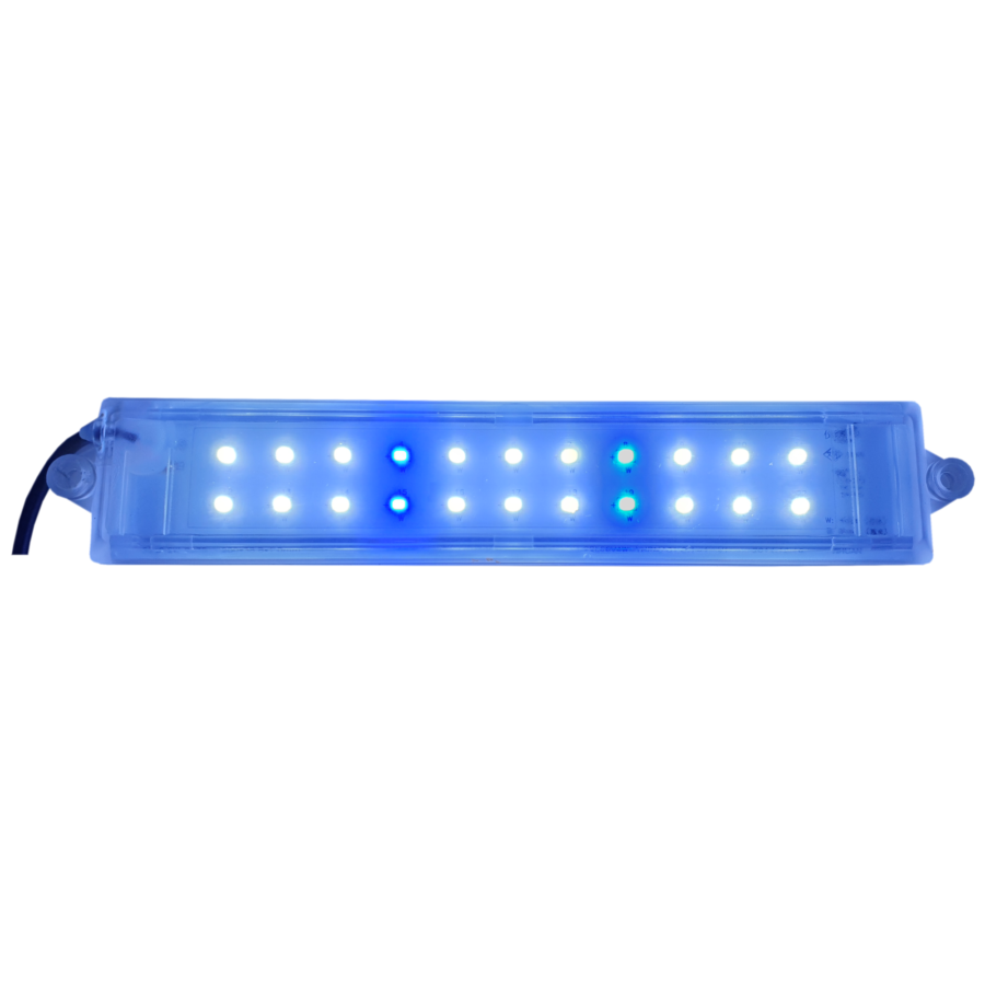 LED Light 5W (White & Blue)