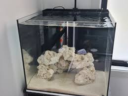Mantis Rubicon 4.B Reef Tank