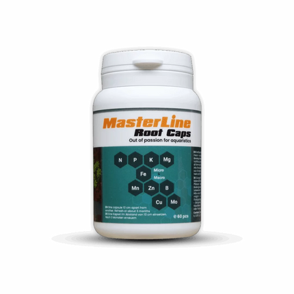 Masterline Root Caps – 60 pcs