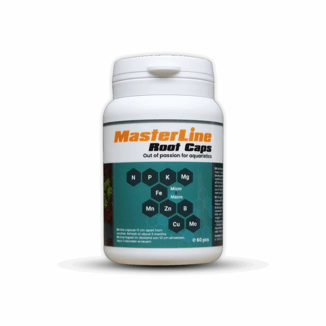 Masterline Root Caps – 60 pcs