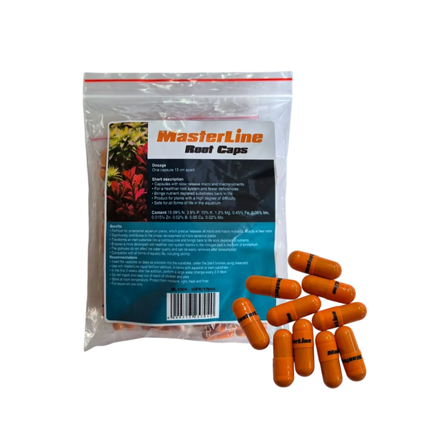 Masterline Root Caps – 10 pcs