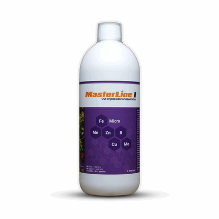 Masterline I