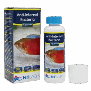 NTL AQ Anti-Internal Bacteria – 250ml