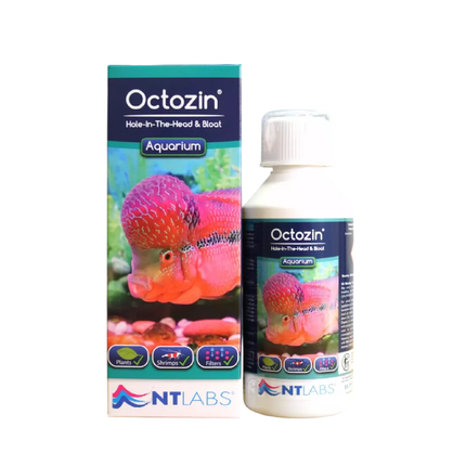 NTL AQ Octozin 250ml