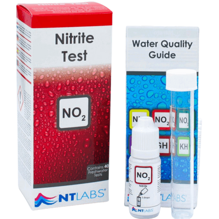 NTL NO2 Test – 40 Tests