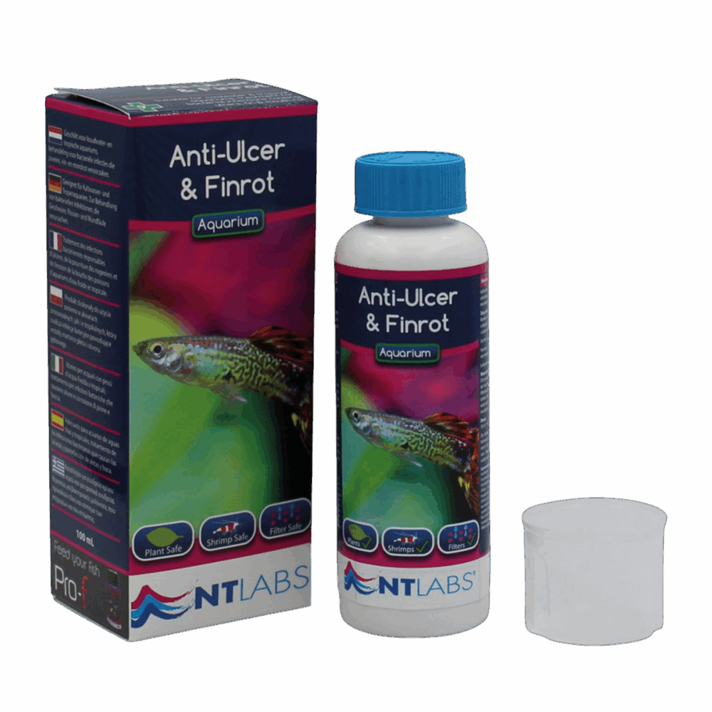 NTL AQ Anti-Ulcer & Finrot – 100ml | 250m