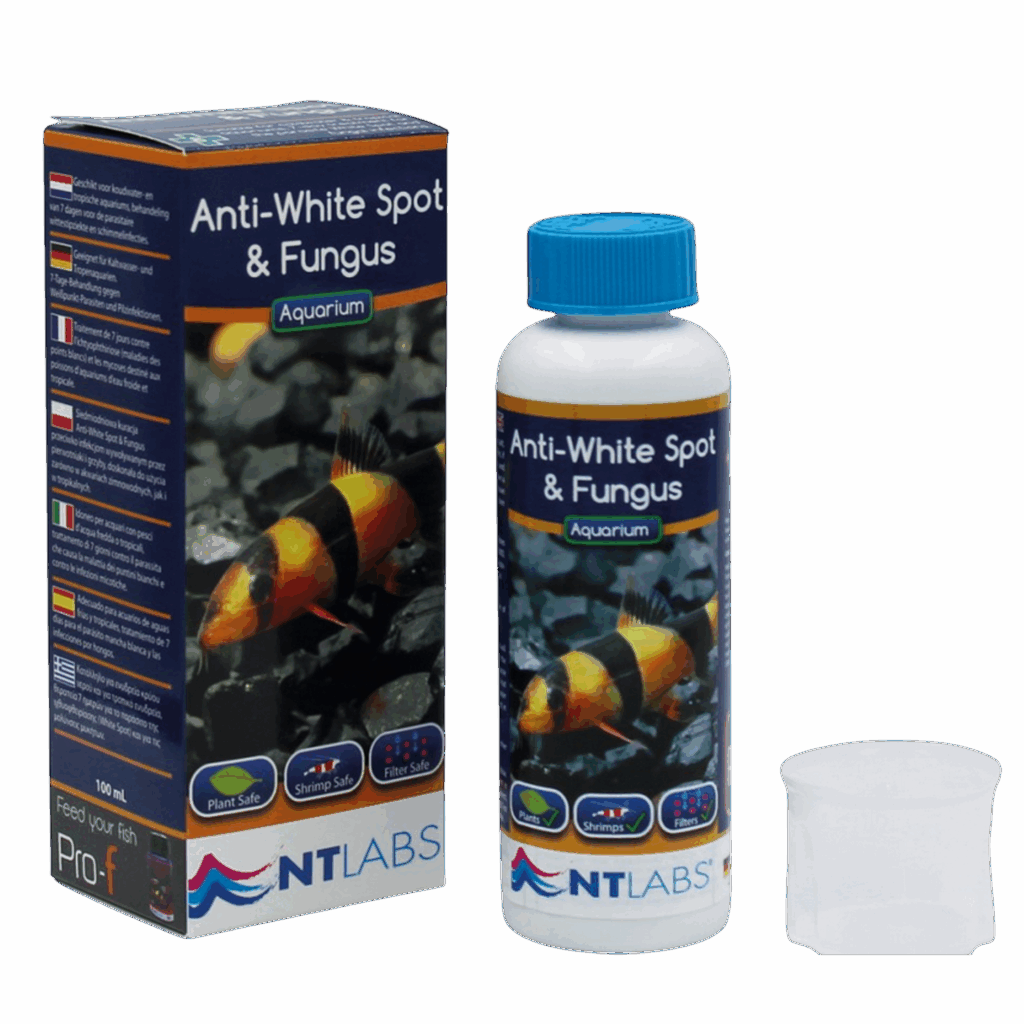 NTL AQ Anti-White Spot & Fungus - 100ml,250m