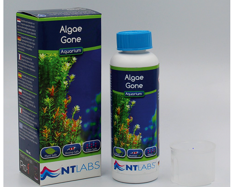 NTL AQ Algae Gone – 100ml | 250ml