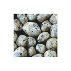 Speckled 2-3cm 2Kg