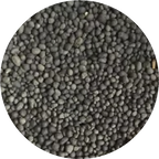 Ocean Max Aquarium Plant Soil 1–2mm – Nutrient-Rich Substrate for Healthy Plants