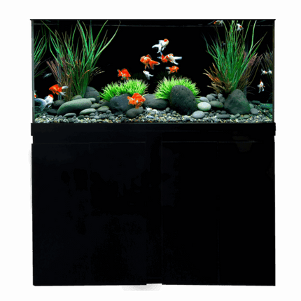 Open Top Aquarium – 100 cm - 210 L + Cabinet&nbsp;