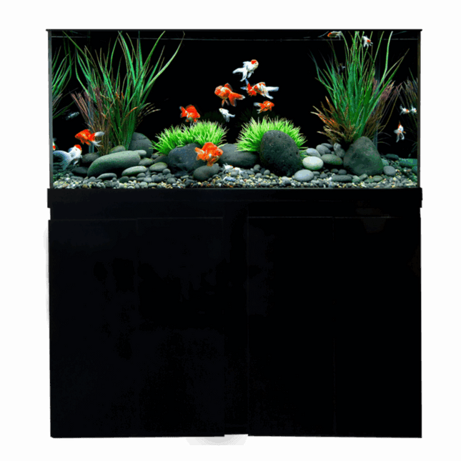 Open Top Aquarium – 100 cm - 210 L + Cabinet&nbsp;
