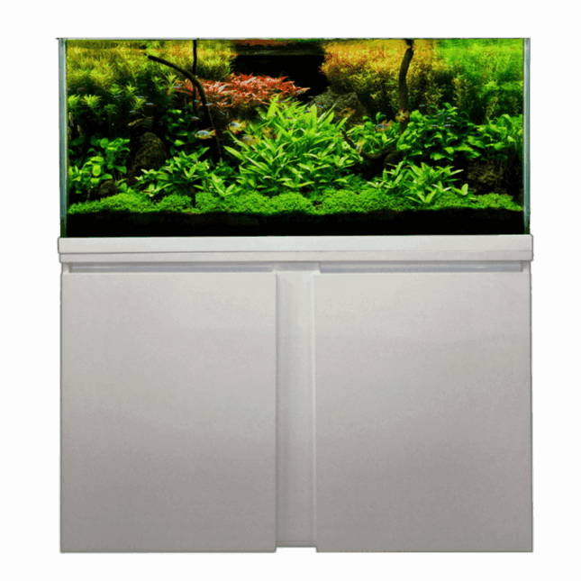 Open Top Aquarium – 100 cm - 210 L + Cabinet&nbsp;