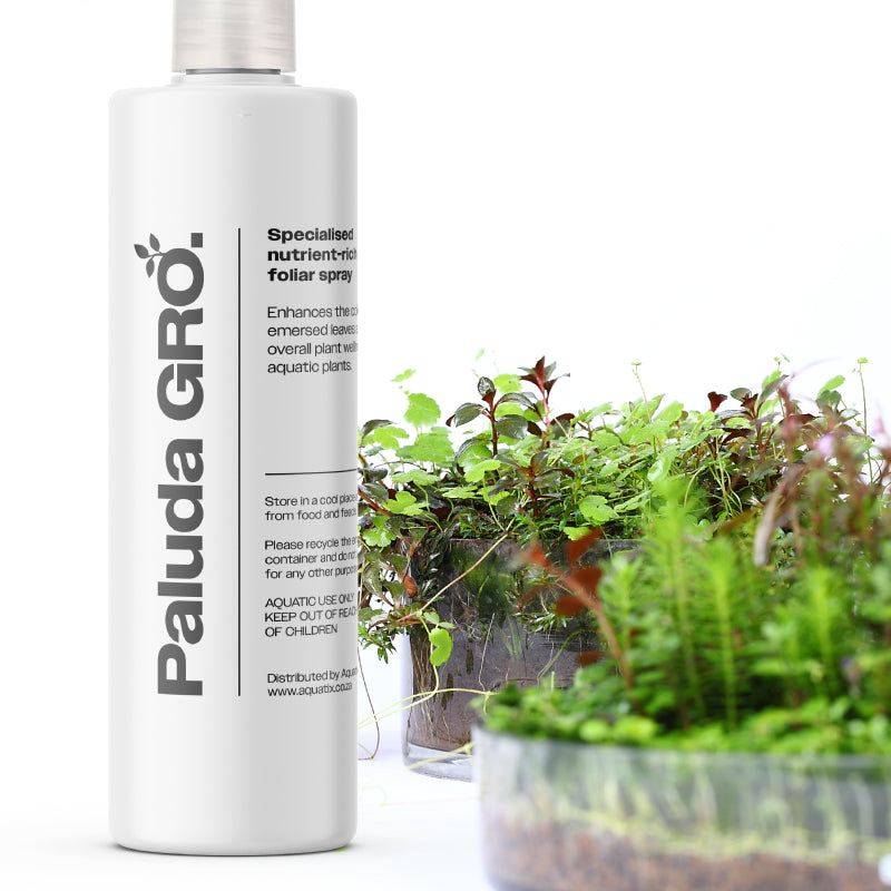 PALUDA GRO by Aquatix – Foliar Fertilizer for Emersed Aquatic Plants ...