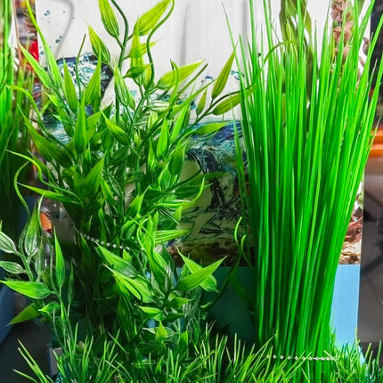 Plastic Plant