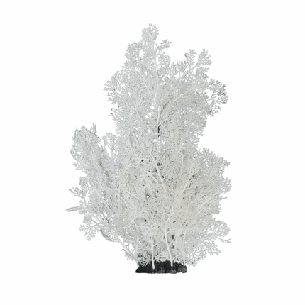 Plastic Plant