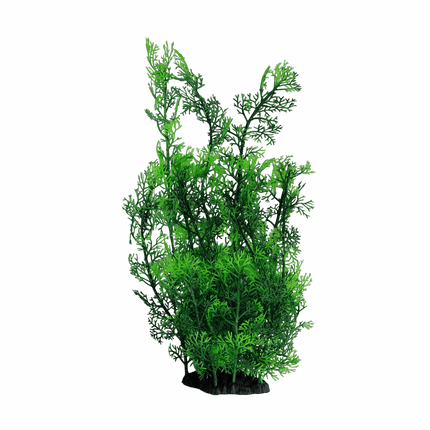 Plastic Plant