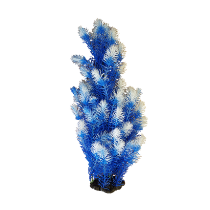 Plastic Plant