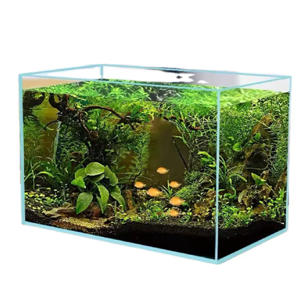 6mm Glass Premium Polished Open-Top Planted Aquarium