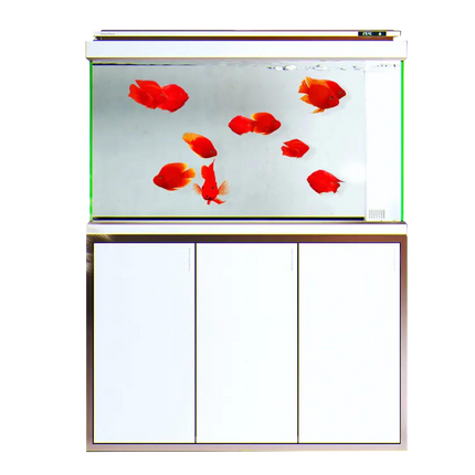 Premium Aquarium HLFT-1000FD – 380L with Cabinet