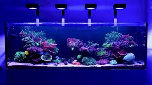Red Sea ReefLED G2 60