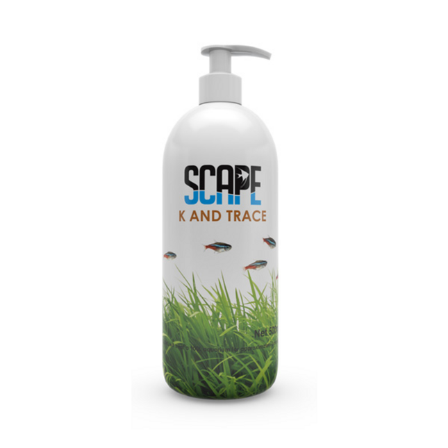 Scape K &amp; Trace – Epic Aquatics