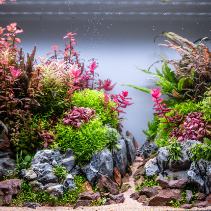 Scape Liquid Carbon – Epic Aquatics
