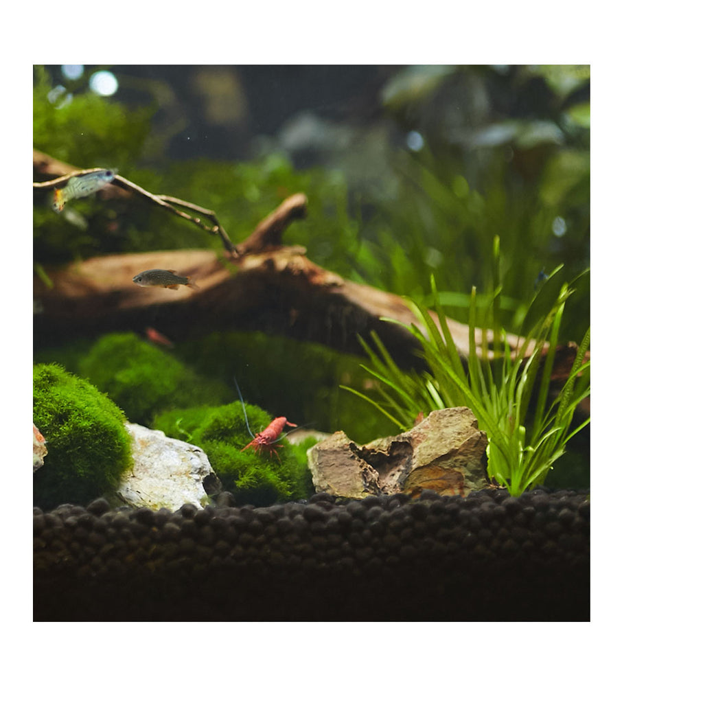 Seachem Aquavitro Aquasolum (2kg - 4kg)