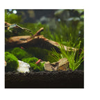 Seachem Aquavitro Aquasolum (2kg - 4kg)