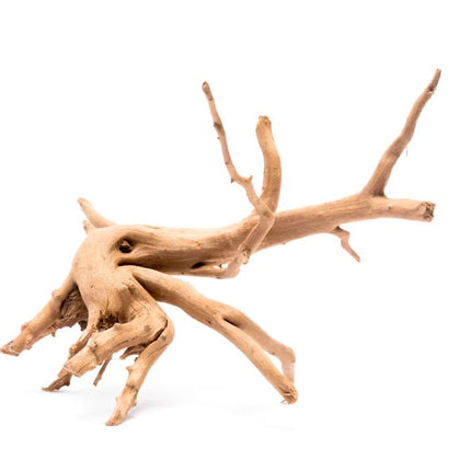 Spider Wood (20–40cm) – Sold per Kg