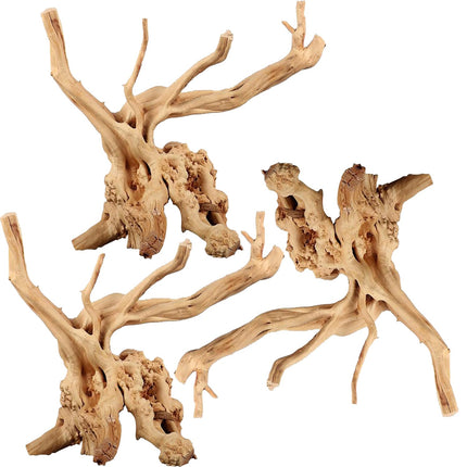 Spider Wood (20–40cm) – Sold per Kg