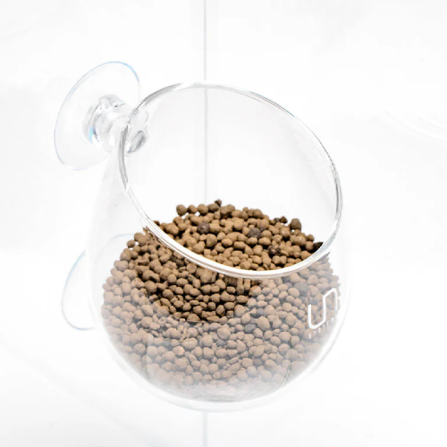 UNS Glass Planter Cup