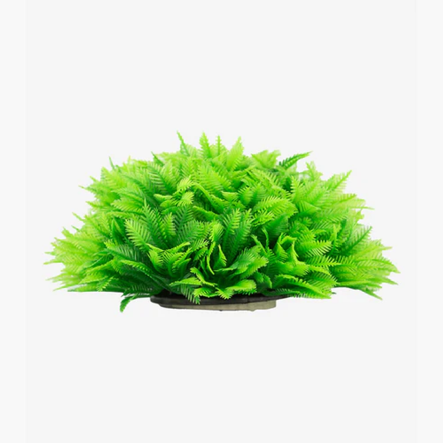 Zugo Ferny Green Shrub Artificial Aquarium Plant 17cm
