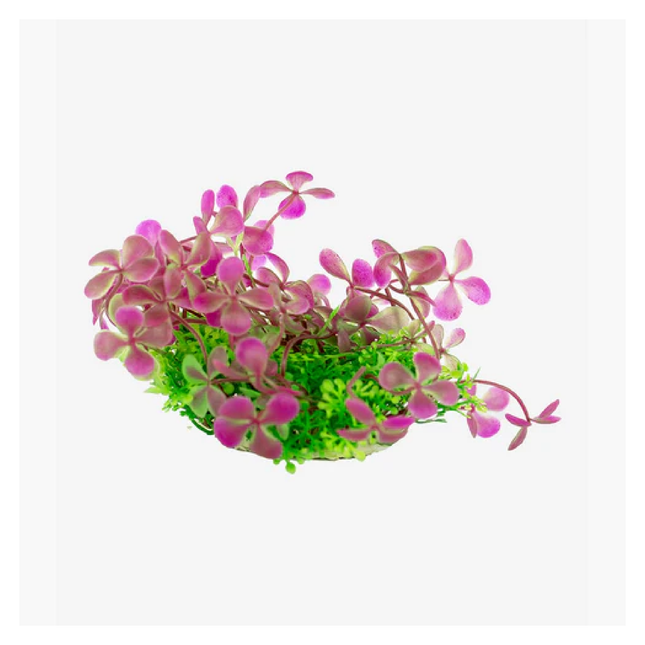 Zugo Pink Blossom Bush 12cm